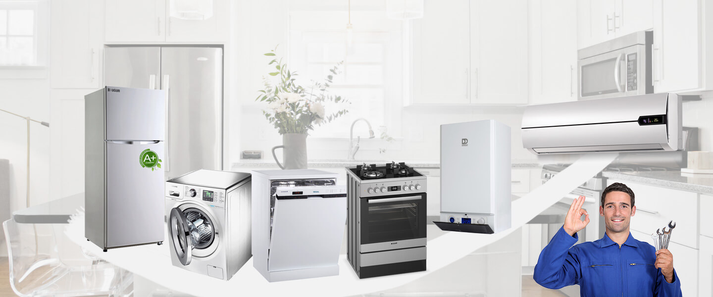 Maltepe Grundig Servisi